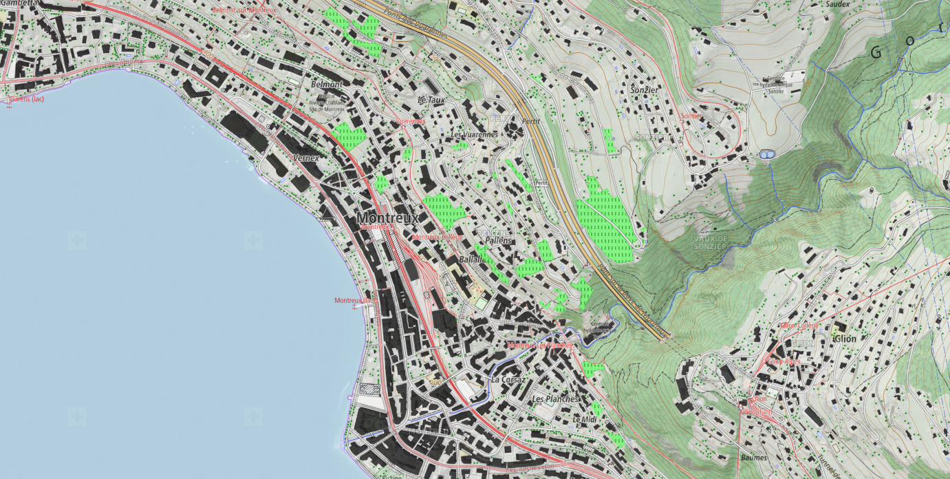 Plan Montreux et cadastre vigne_2020_Cartoriviera